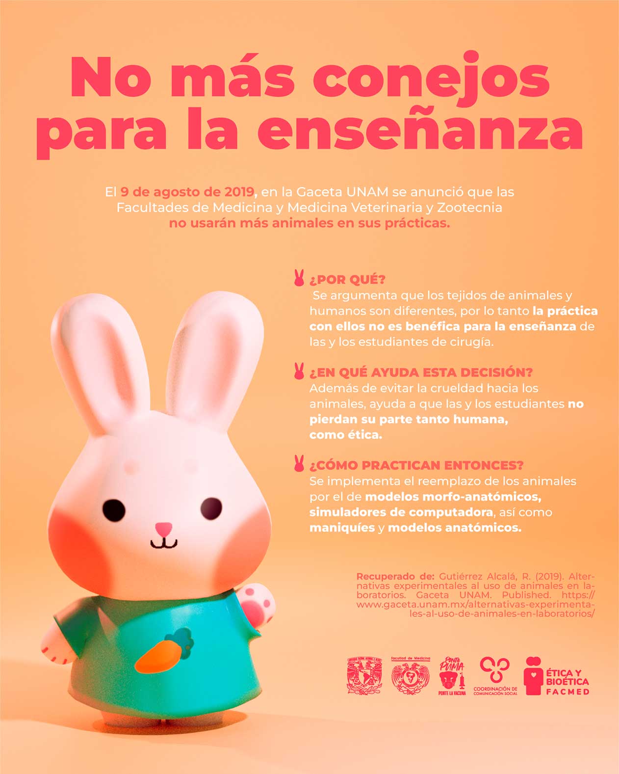 Infografía sobre Conejos en la UNAM