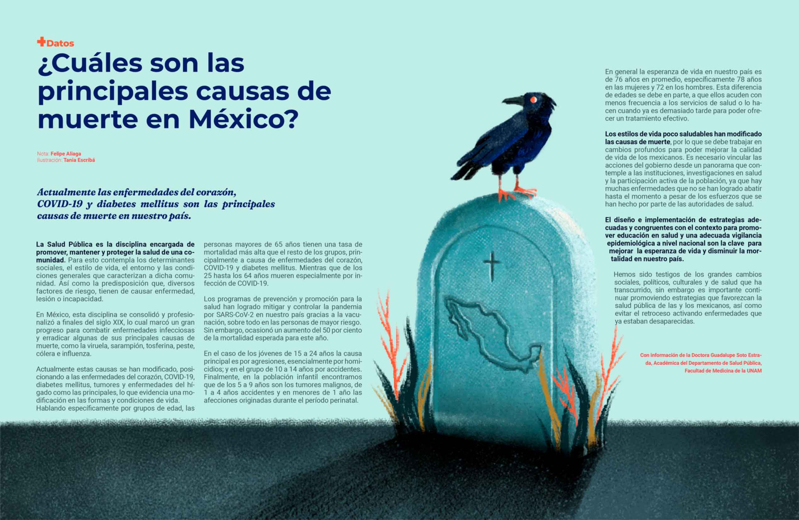 Ilustración para la revista Más Salud